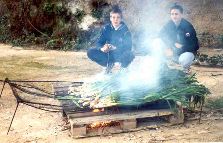 Cooking
