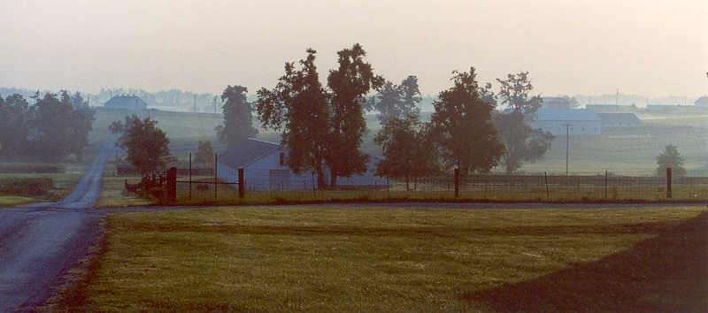 Horse country