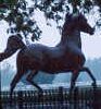 Kentucky Horse Park