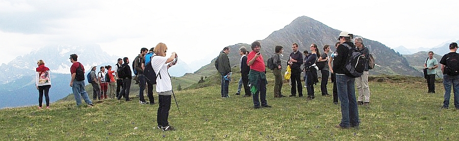 excursion